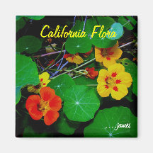 California Flora Magnet