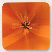 California Golden Poppy Macro Drink Coaster
