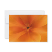 California Golden Poppy Macro Personalized Announcement