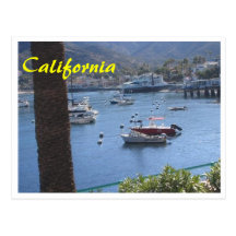 California Got Sushi Postcard