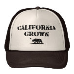California Grown Bear Mesh Hat