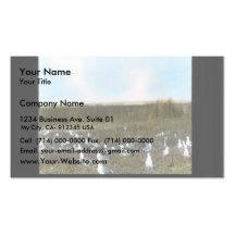 California Gull colony Business Cards