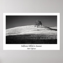 California Hillside in Summer in Black and White Poster