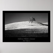 California Hillside in Summer in Black and White Print