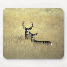 California Mule Deer Mousepad