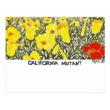 California Mutant Post Card