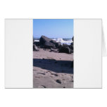 California Ocean Rocks Card
