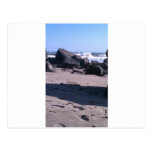 California Ocean Rocks Post Card