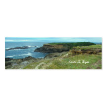 California Pacific Coast scene 3 Business Card