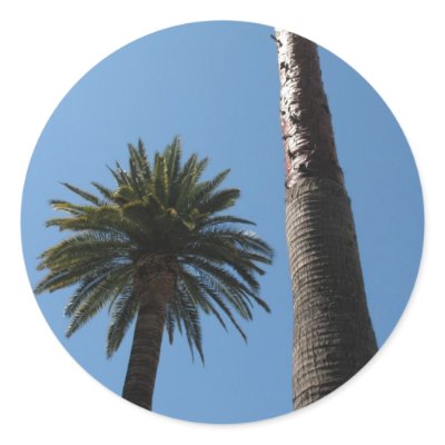 California Palm Tree Sticker by DonnaGrayson