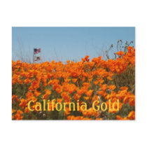 California Poppies And American Flag Post Card