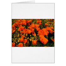 California Poppies Greeting Card
