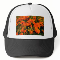 California Poppies Trucker Hats