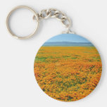 California poppies in full bloom flowers keychain
