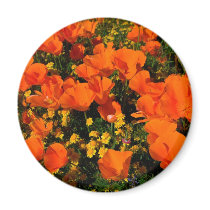 California Poppies Magnet