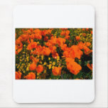California Poppies Mouse Mats