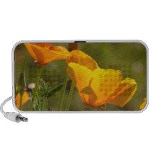 California Poppies OrigAudio Doodle Speaker