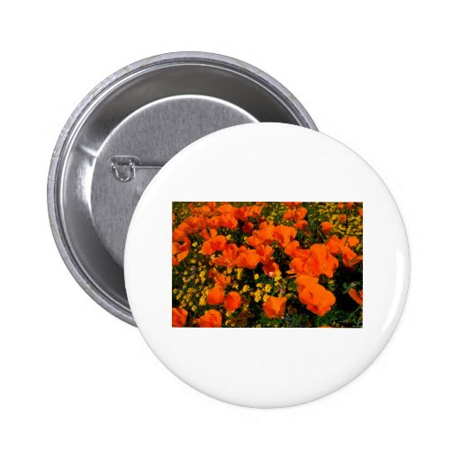 California Poppies Pinback Buttons