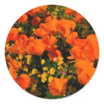 California Poppies Stickers