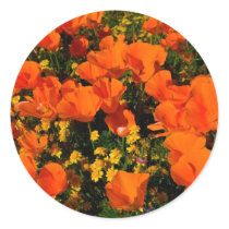 California Poppies Stickers