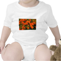 California Poppies T Shirt