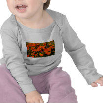 California Poppies Tees