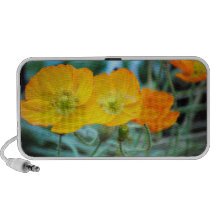 California Poppies Travelling Speakers