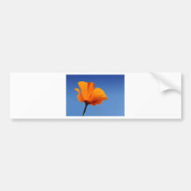 California Poppy Against Blue Sky Bumper Sticker