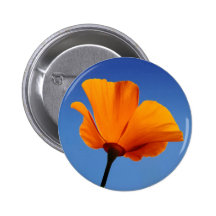 California Poppy Against Blue Sky Buttons