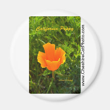 California Poppy California Products Refrigerator Magnet