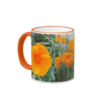 California Poppy