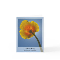 California Poppy - Native Notecard