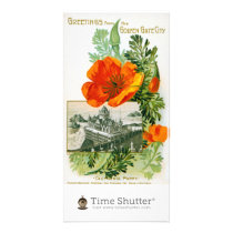 California Poppy Photo Card