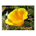 California Poppy Save The Date Postcard
