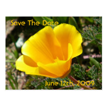California Poppy Save The Date Postcard