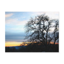California Postcard