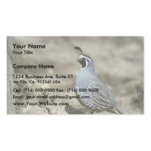 California quail business cards
