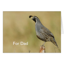 California Quail Father's Day cards