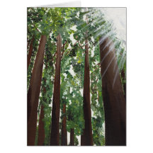 "California Redwoods" Card from Canvas Justice