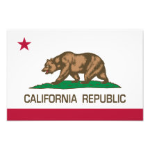 California Republic (State Flag) Art Photo