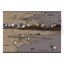 California Sand Piper Beach Card