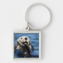 California Sea Otter Enhydra lutris) grooms Key Chain