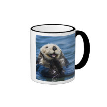 California Sea Otter Enhydra lutris) grooms Coffee Mugs