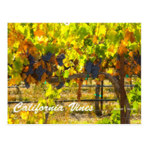 California Vines California Products Post Card