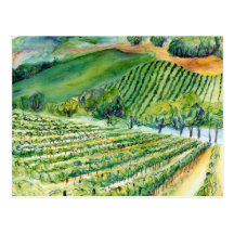 California Vineyard Postcard