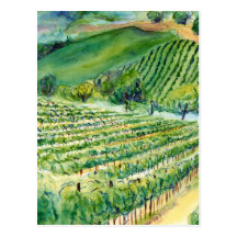 California Vineyard Postcard