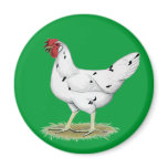 California White Hen Magnet