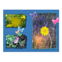 California Wildflower Post Card