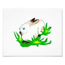 Californian blue eyed rabbit in green grass.png photo art