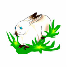 Californian blue eyed rabbit in green grass.png cut out
